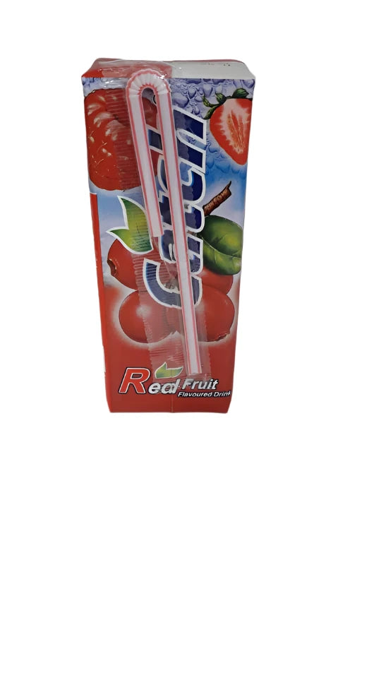 Catch Red Fruit Mix Flavoured Juice 200ml Pack of 36 | كاتش عصير فواكة مشكلة