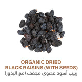 Holistic Corner Organic Dried Black Raisins 100g | زبيب اسود عضوي