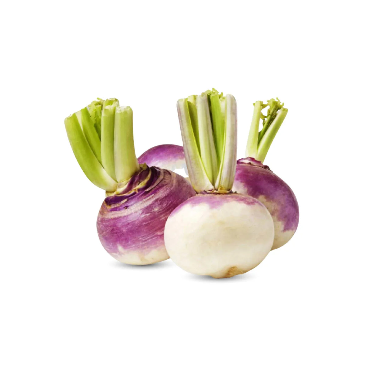 Turnips UAE | لفت اماراتي