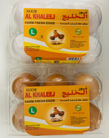 Noor Al Khaleej Eggs Large 6pcs | بيض نور الخليج كبير