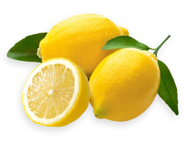 Lemon Syria | ليمون سوري