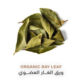 Holistic Corner Organic Bay Leaf 20g | ورق الغار العضوي