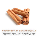 Holistic Corner Organic Ceylon Cinnamon Sticks 40g