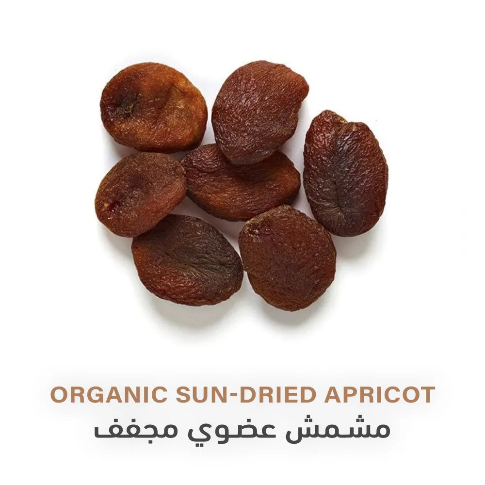 Holistic Corner Organic Sun-dried Apricot 100g