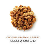 Holistic Corner Organic Dried Mulberry 100g | توت عضوي مجفف