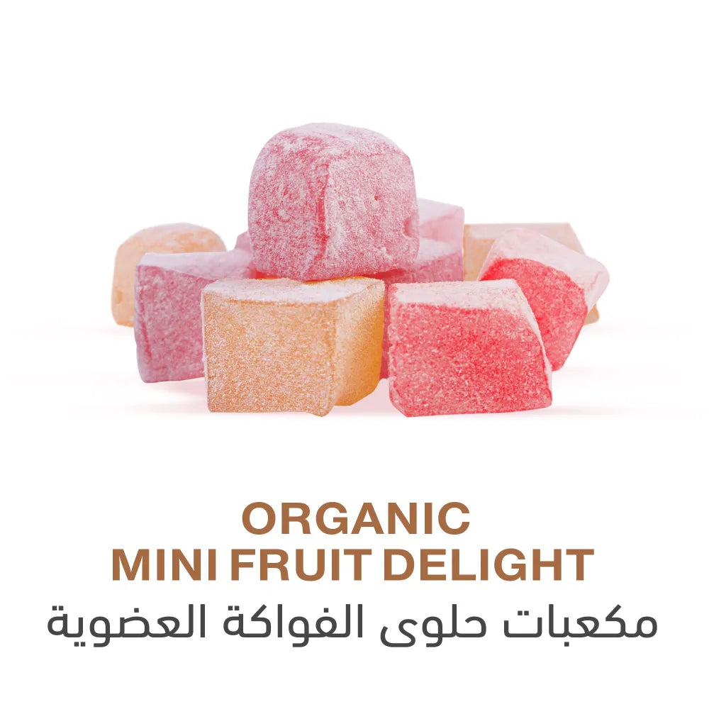 Holistic Corner Organic Mini Fruit Delight 100g