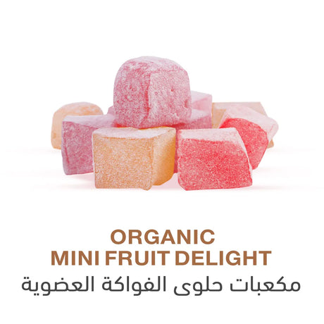 Holistic Corner Organic Mini Fruit Delight 100g