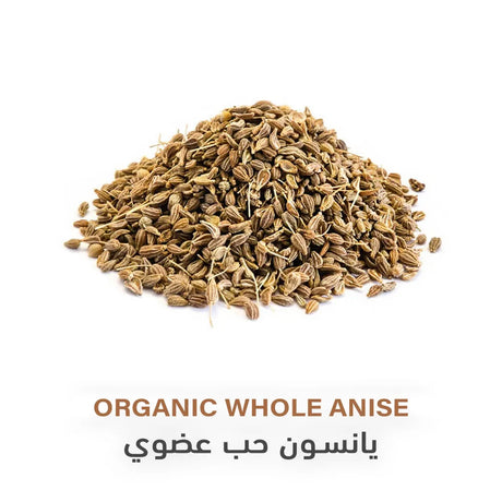 Holistic Corner Organic Whole Anise 85g