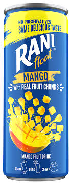 Rani Float Mango Drink 240ml | راني المانجو