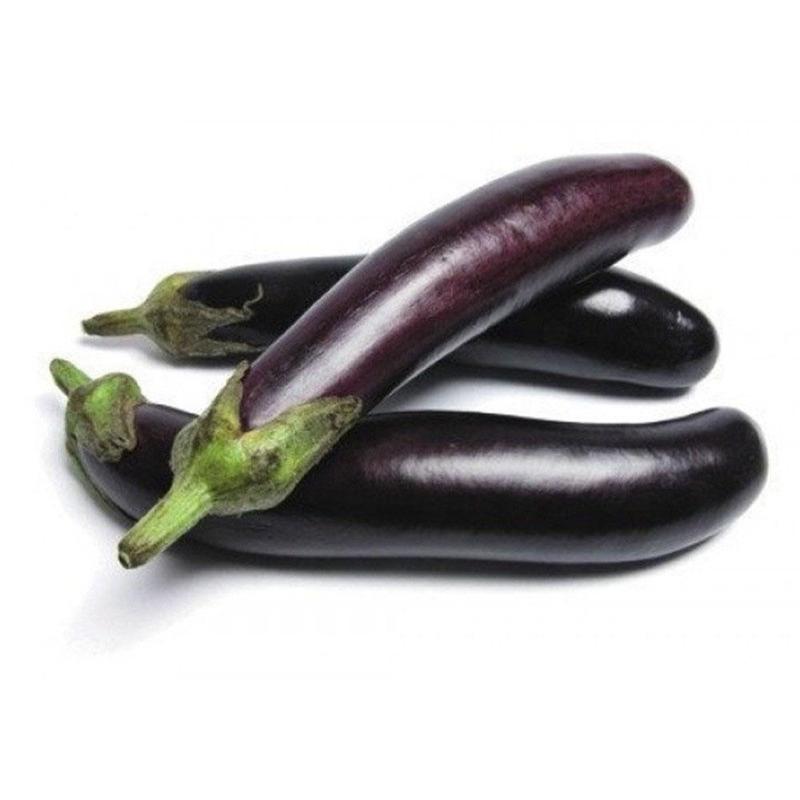 Eggplant Long UAE | باذنجان طويل اماراتي