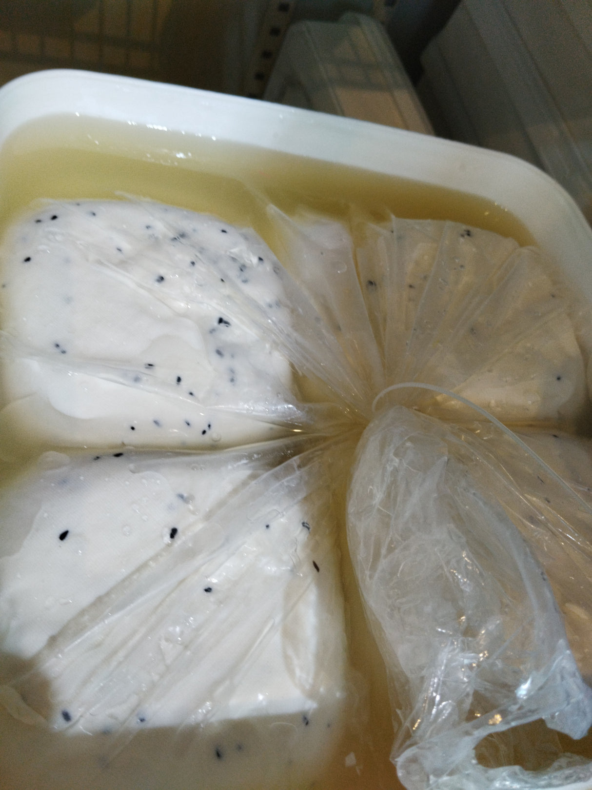 Bluedan Akkawi Cheese Black Seeds 13Kg | بلودان جبنة عكاوي حبة البركة