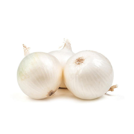 Onion White Iran | بصل أبيض - 2kShopping.com