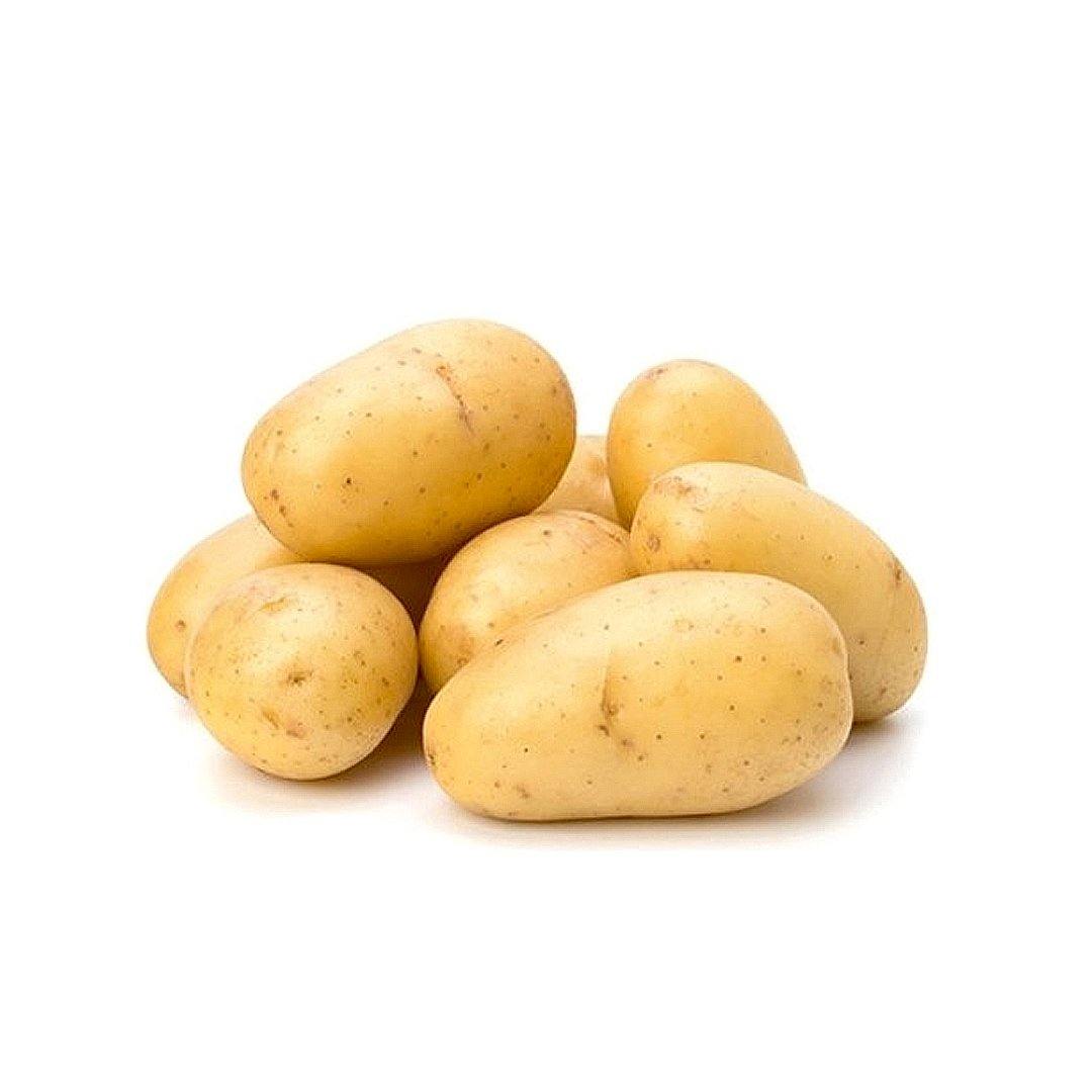 Potato UAE | بطاطا اماراتي