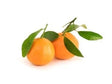 Clementine with leaves Syria | كلمنتينا - 2kShopping.com - Grocery | Health | Technology